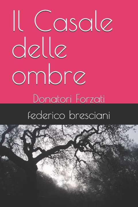 Buch Il Casale delle ombre federico bresciani