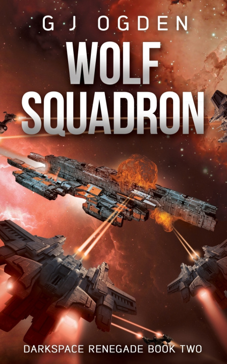 Buch Wolf Squadron S L Ogden
