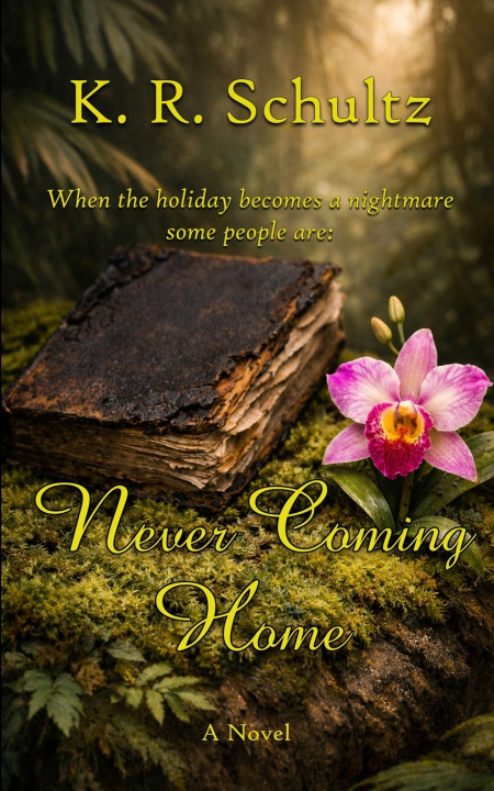 Книга Never Coming Home K. R. Schultz