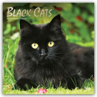 Календар/тефтер Black Cats - Schwarze Katzen 2027 - 16-Monatskalender BrownTrout Publishers Inc