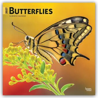Calendario/Diario Butterflies - Schmetterlinge 2027 - 16-Monatskalender BrownTrout Publishers Inc