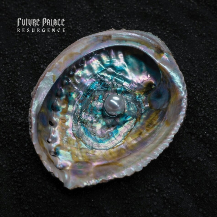 Книга Future Palace:  Resurgence Future Palace