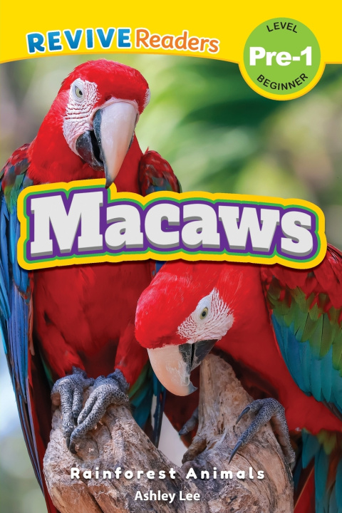 Carte Macaws Ashley Lee