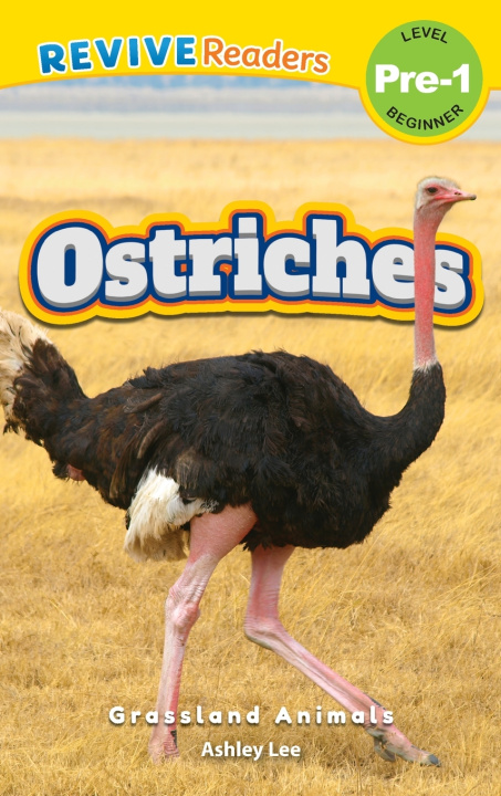 Libro Ostriches Ashley Lee