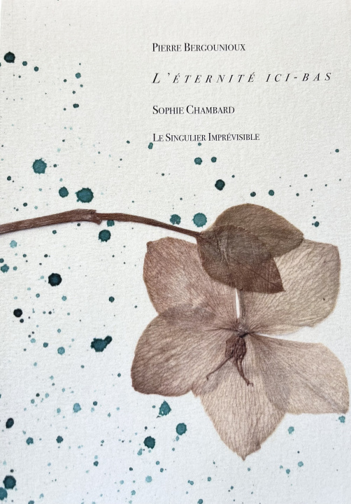 Книга L'éternité ici-bas Bergounioux