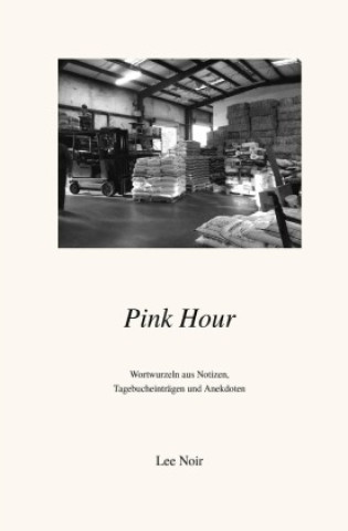 Книга Pink Hour Lee Noir