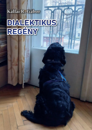 Könyv Dialektikus regény Kállai R. Gábor