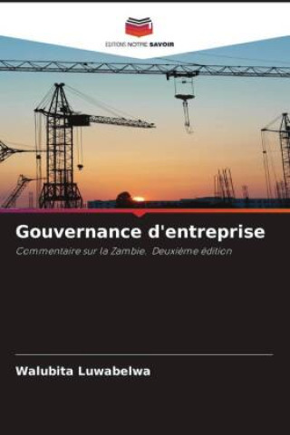 Kniha Gouvernance d'entreprise Walubita Luwabelwa