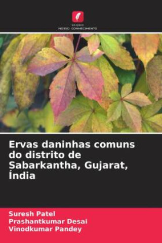 Boek Ervas daninhas comuns do distrito de Sabarkantha, Gujarat, Índia Suresh Patel