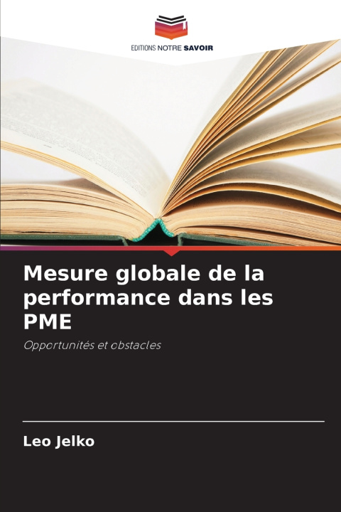 Buch Mesure globale de la performance dans les PME Leo Jelko