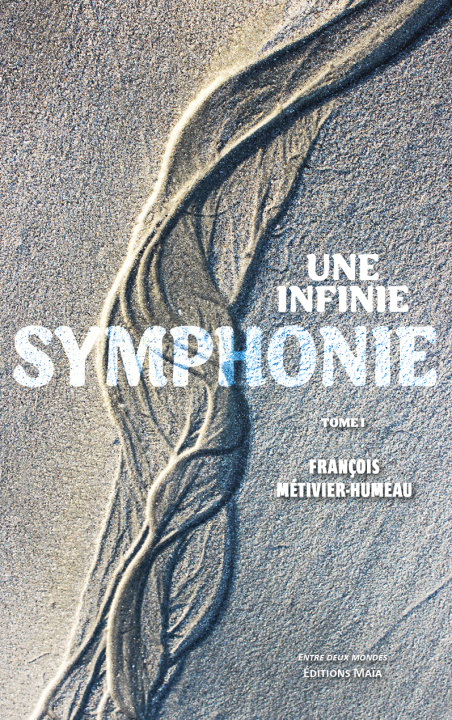 Buch Une infinie symphonie - Tome I François Métivier-Humeau