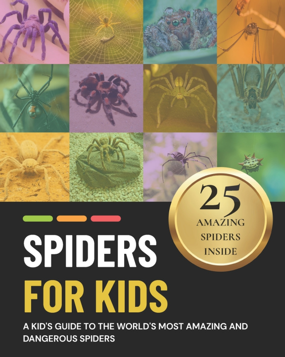 Carte Spiders for Kids M Martin