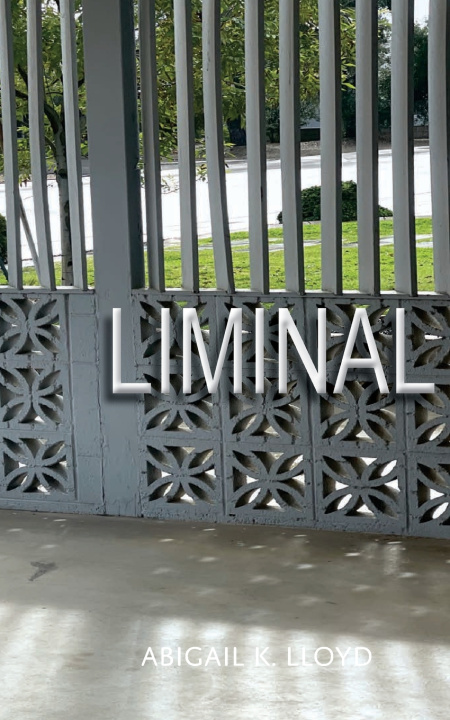 Книга Liminal Abigail K Loyd