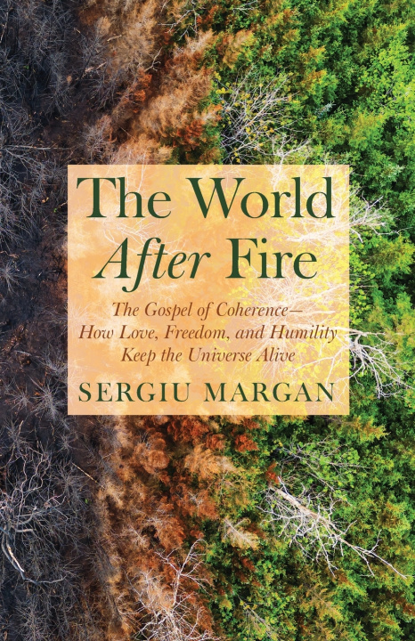 Könyv The World After Fire Sergiu Margan