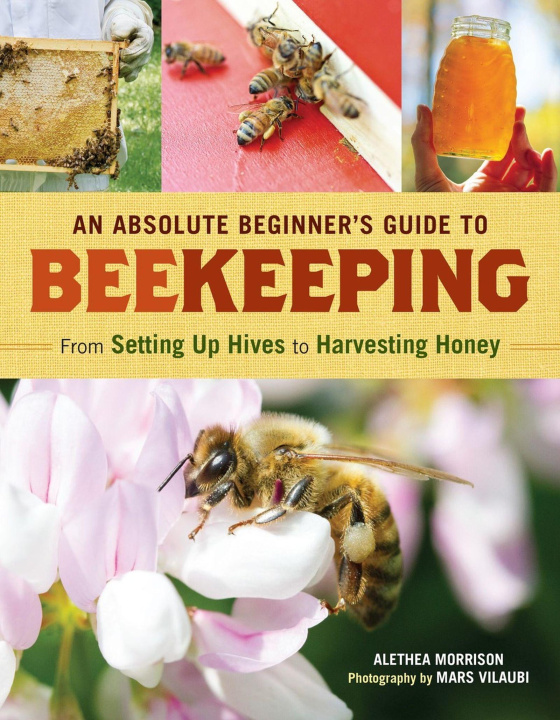 Boek An Absolute Beginner's Guide to Beekeeping Mars Vilaubi
