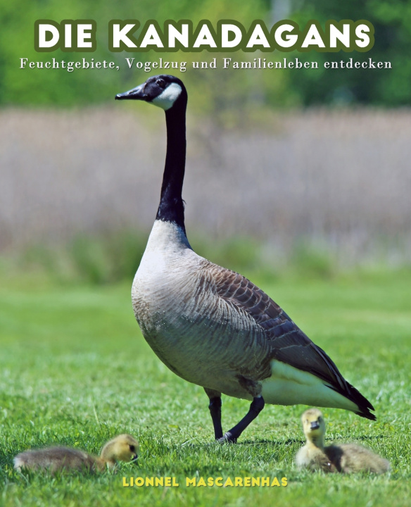 Boek Die Kanadagans Lionnel Mascarenhas