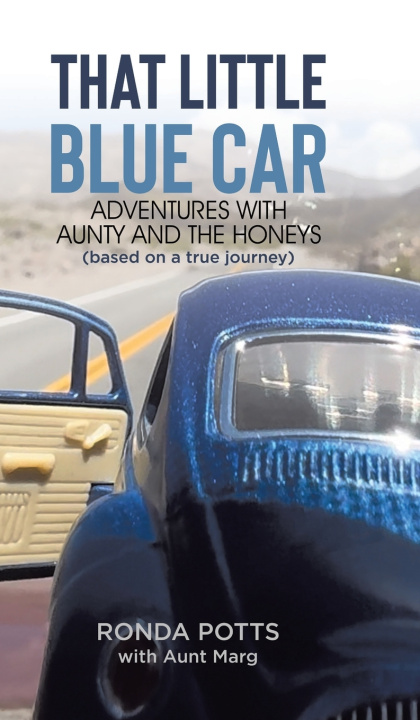 Boek That Little Blue Car Ronda Potts