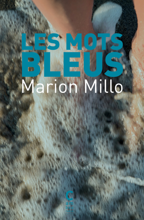 Книга Les Mots bleus Millo