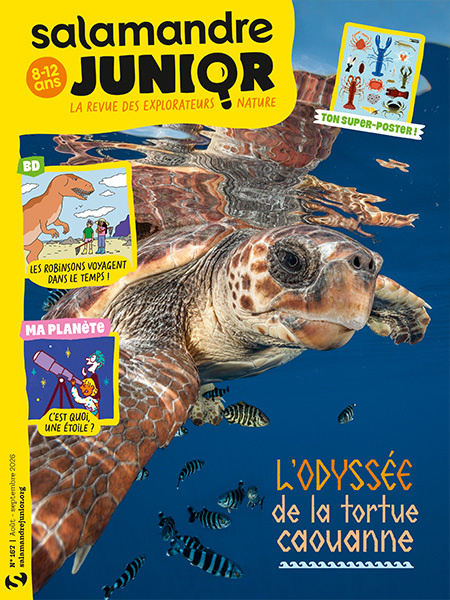 Book Revue Salamandre Junior n°167 