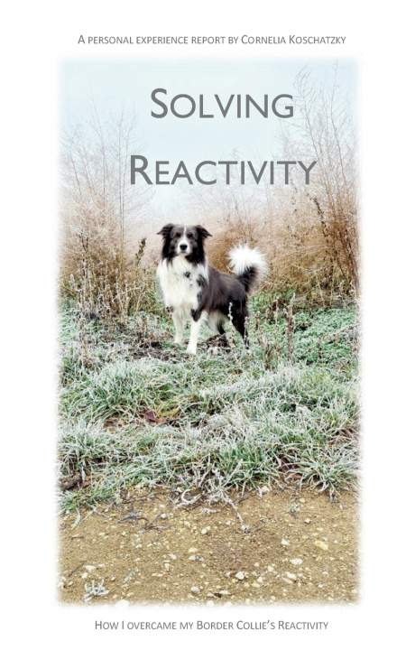 Książka Solving Reactivity Cornelia Koschatzky