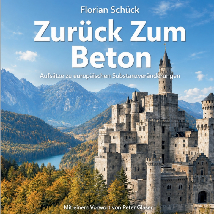 Knjiga Zurück Zum Beton Florian Schück