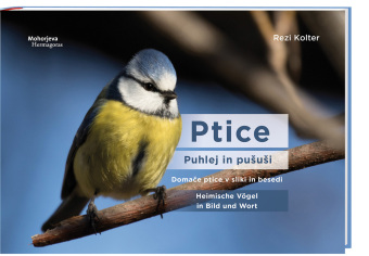 Livro Ptice - puhlej in posusi Rezi Kolter