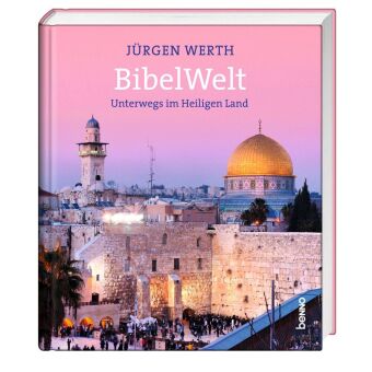 Buch BibelWelt Jürgen Werth