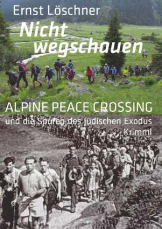 Книга Nicht wegschauen Ernst Löschner