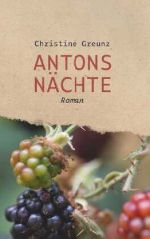 Книга Antons Nächte Christine Greunz