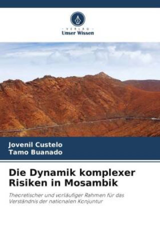 Książka Die Dynamik komplexer Risiken in Mosambik Jovenil Custelo