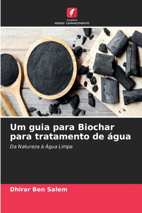 Buch Um guia para Biochar para tratamento de água Dhirar Ben Salem