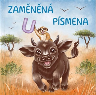 Buch Zaměněná písmena Vlastimil Strnad