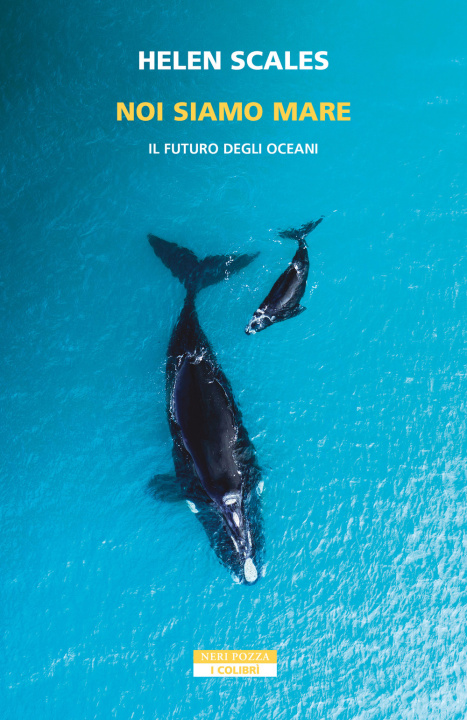 Könyv Noi siamo mare. Il futuro degli oceani Helen Scales