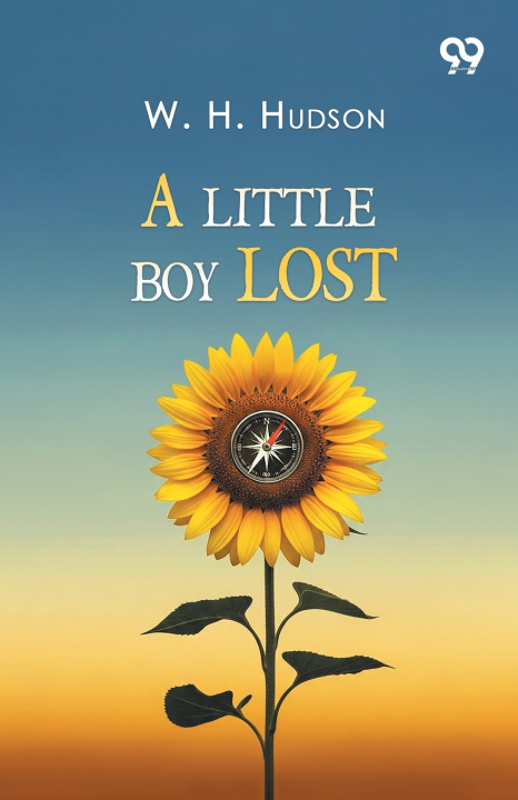 Buch A Little Boy Lost W. H. Hudson