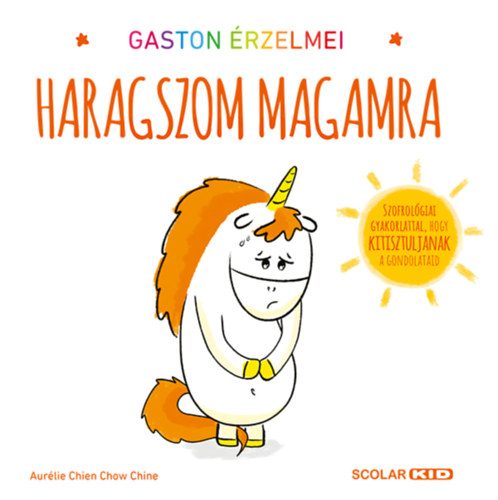 Buch Gaston érzelmei - Haragszom magamra Aurélie Chien Chow Chine