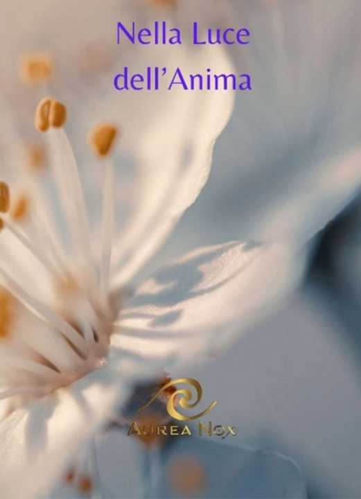 Carte Nella luce dell'anima Tara Nicoletti