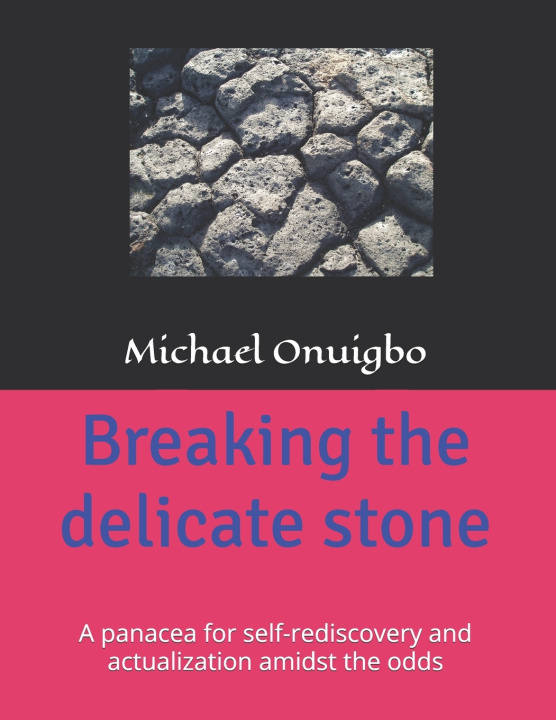 Kniha Breaking the delicate stone Michael Onuigbo