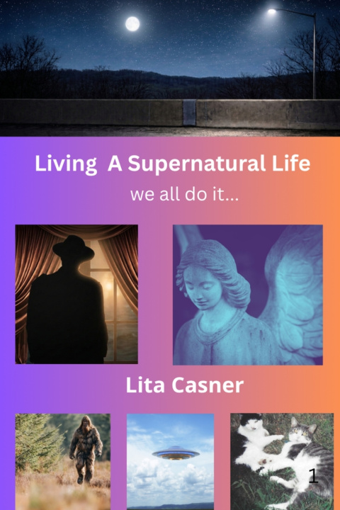 Libro Living A Supernatural Life - we all do it... Lita Casner
