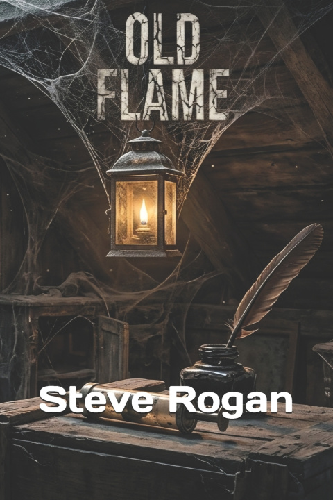 Книга Old Flame Steve Rogan
