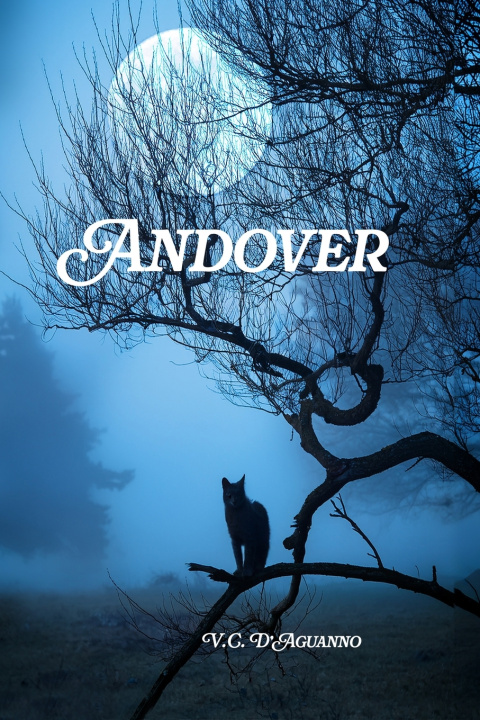 Carte Andover V.C. D'Aguanno