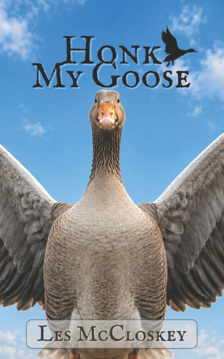 Книга Honk My Goose LeslieYoung lad Mccloskey