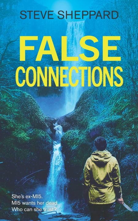 Книга False Connections Steve Sheppard