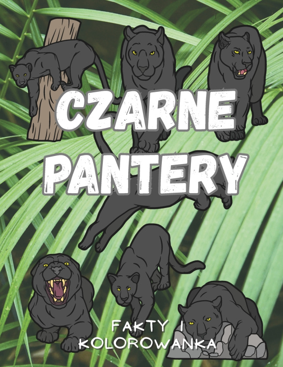 Carte Czarne Pantery Steven Book