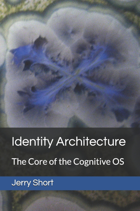 Книга Identity Architecture Jerry Short