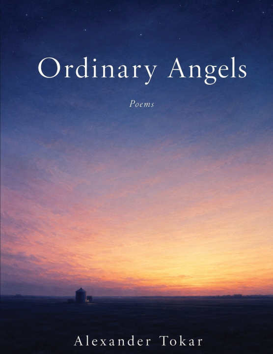 Книга Ordinary Angels Alexander Tokar