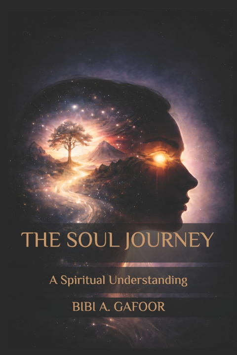 Buch THE SOUL JOURNEY Bibi Arifa Gafoor