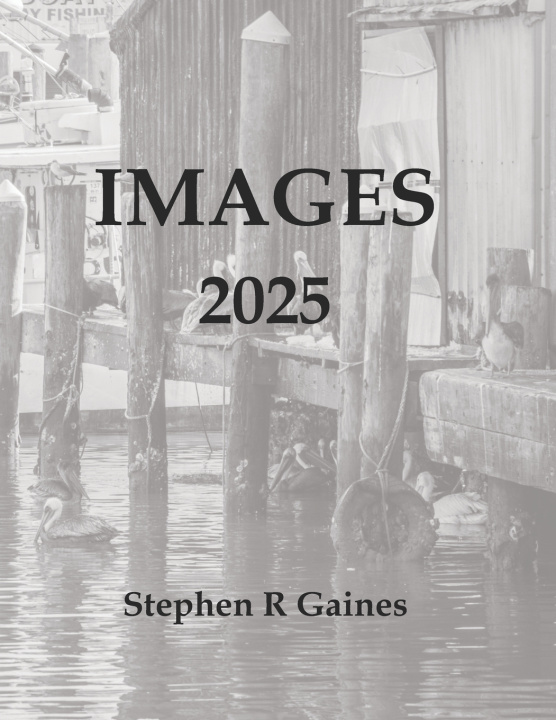 Книга IMAGES 2025 Stephen R Gaines