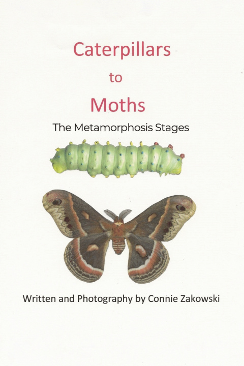 Книга Caterpillars to Moths Connie Zakowski