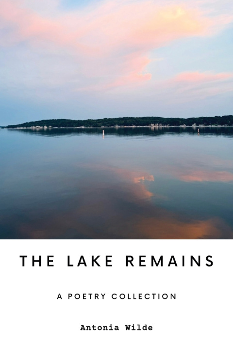 Buch The Lake Remains Antonia Wilde