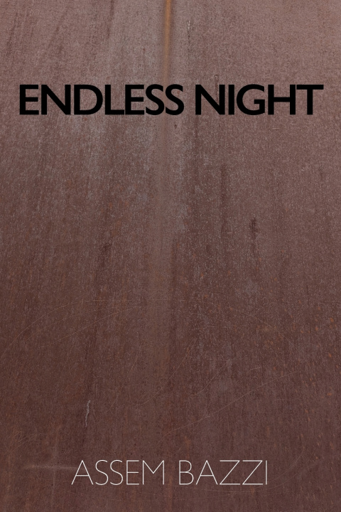 Book Endless Night Assem Bazzi